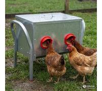 Mangeoire Galvanisée 4 Entrées - Capacité 15 kg pour Élevage Avicole