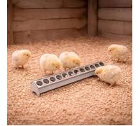 Mangeoire métal galvanisé poussins 50 cm à trous
