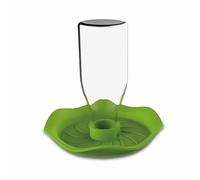 Mangeoire plastique pour reptiles Reptiles Planet Vert 10x5x1,1 mm