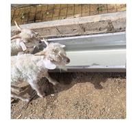 Mangeoire pour bétail, design portable en acier inoxydable pour un nettoyage facile et une durabilité dans les opérations agricoles et volailles