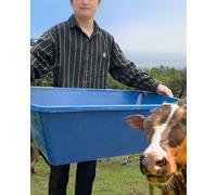 Mangeoire pour bétail, mangeoires extérieures pour céréales, porcelets, mangeoires pour 2, 3, 4 chevaux, moutons, bovins, sans déchets pour lapin, poulet, oiseau