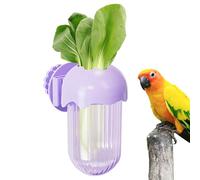 Mangeoire pour Cage À Oiseaux - Récipient De Stockage De Nourriture pour Perroquet, Bouteille, Support À Fruits Et Légumes | Conservateur De Germes De Soja, Accessoire De Cage Et Station