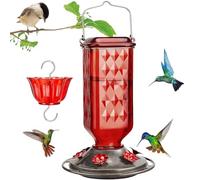 Mangeoire pour colibri, mangeoires à oiseaux d'extérieur, ports de protection des abeilles, jardins suspendus, station d'alimentation créative pour jardin, jardin, terrasse, balcon, cour , parc