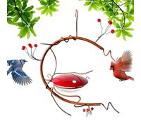 Mangeoire pour colibris | Anti-fourmis et abeilles, baies rouges | Station d'alimentation, décoration de jardin pour jardin, terrasse, facile à nettoyer et à remplir