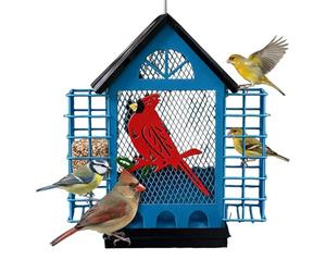 Mangeoire pour épreuve d'écureuil, station d'alimentation pour observation des oiseaux avec double cages pour sugna | Mangeoire d'extérieur, pour calopsitte, miracles, piccioncini, gruau