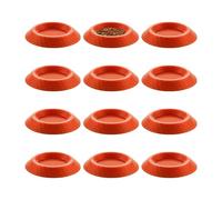 Mangeoire pour isopodes - 12 unités enceintes terrariums plateau d'alimentation, bol d'alimentation pour isopodes - pour collembos, mille-pattes et invertébrés