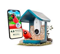 Mangeoire pour oiseaux connectée intelligence artificielle caméra HD Birdbuddy