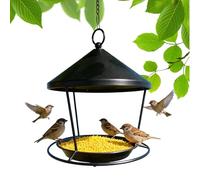 Mangeoire pour Oiseaux d'extérieur - Suspendue en métal | Plateau à Nourriture colibris, Jardin, Appartement, Balcon, clôture, Porche, Sauvage, antirouille, Vert, 1 pc