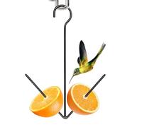 Mangeoire pour oiseaux sauvages, fourchette en métal avec crochet | pour calopsitte, moineau, canari, colibri, fruits, légumes, extérieur, cour, porche, terrasse