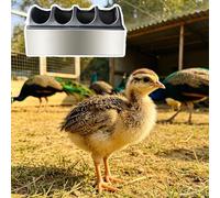 Mangeoire pour Porcs Mangeoire pour Paons Vers Farine, Abreuvoir Multi-compartiments Poulaillers, Mangeoire Anti-gaspillage Antirouille Poussins, Facile Nettoyer(L20cm/7.9")