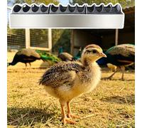 Mangeoire pour Porcs Mangeoire pour Paons Vers Farine, Abreuvoir Multi-compartiments Poulaillers, Mangeoire Anti-gaspillage Antirouille Poussins, Facile Nettoyer(L60cm/23.6")