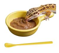 Mangeoire pour reptiles, caméléon avec cuillère, récipient d'alimentation pour tarentule - pour gardiens, parents, amoureux des animaux, terrarium, abris pour maison, ermite, crabe, lézard, tarentule