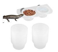 Mangeoire pour Reptiles en PP | Distributeur Nourriture Serpent Tortue