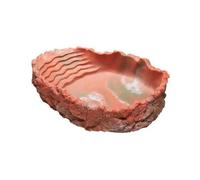 Mangeoire pour reptiles Hobby L Rouge 24x5x17 cm