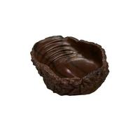Mangeoire pour reptiles Hobby M Beige 15x4x11 cm