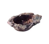 Mangeoire pour reptiles Hobby TerraPond Marron 50x6x38 cm