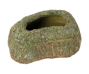 Mangeoire pour reptiles Reptiles Planet Pindu Vert 11,5x8,5x4 cm