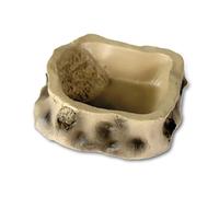 Mangeoire pour tortue Reptiles Planet Doré TU