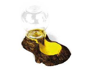 Mangeoire pour tortue Reptiles Planet Marron TU