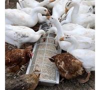 Mangeoire rectangulaire en acier inoxydable pour volaille durable pour canards et oies, distributeur de nourriture pour animaux d'extérieur, facile à nettoyer et à entretenir