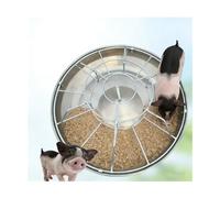 Mangeoire ronde séparée en acier inoxydable pour animaux de la ferme y compris chèvres, moutons et chevaux