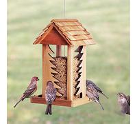 Mangeoires à oiseaux à suspendre en bois pour l'extérieur de la tonnelle en cèdre Distributeur de nourriture sauvage classique extérieur jardin villa paysage décoration (C)