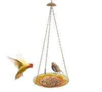 Mangeoires Décoratives pour Les Colibris - Plateau De Nourrissage,Station de Nourrissage pour Oiseaux du Jardin | pour Jardin Extérieur Cour Véranda Balcon Parc