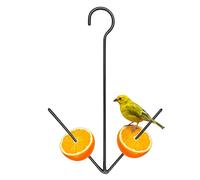 Mangeoires pour loriots pour Une Utilisation en extérieur,Support à Fruits de Jardin avec Crochet,Mangeoires pour Oiseaux Sauvages - pour Balcon Jardin Terrasse Extérieur