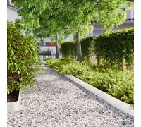 Mangloder Lot de 10 bordures de pelouse blanches 15 x 103 cm en acier laminé à froid pour parterres de jardin, chemins, pelouses, cours, parterres surélevés, parterres de fleurs, avec système de