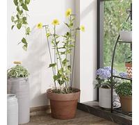 Mangloder Lot de 20 supports de plantes, vert foncé, 40 cm, en acier, tuteurs pour tomate, concombre, rose, tige de plantation et cage de plantation pour balcon, parterre surélevée, pot de serre