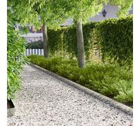 Mangloder Lot de 30 bordures de pelouse - 102 x 10 x 4 cm - En acier argenté - Résistant aux intempéries - Bordure flexible pour bordure de parterres et bordure de pelouse - Pour protéger et organiser