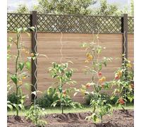 Mangloder Lot de 5 supports de plantes en spirale en acier argenté 150 x 0,6 x 0,6 cm pour cage de plantes, treillis, treillis, jardinières et serres