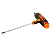 Mango En T Torx 9X100