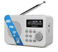 MangoKit MD2-Plus Radio Dab, Haut-Parleur Bluetooth, Portable, Gris Pierre