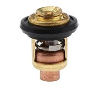 MANGRY Thermostat 60 degrés adapté à la pièce de Rechange du Moteur Suzuki