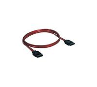 Manhattan câble SATA - 50 cm