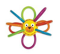 Hochet winkels zoo lion