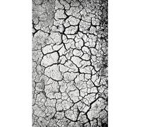 Mani Textile TPS_PEBB_Gri_120 Tapis, Polyester, 120 x 180