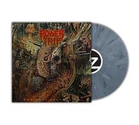 Manifest Decimation