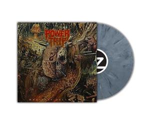Manifest Decimation
