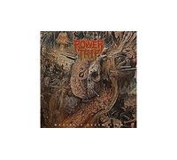Manifest decimation CD