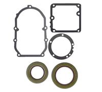 Manillefu Ensemble de joints de base de carter d'huile en métal et silicone anti-fuite pour tondeuses Onan BF B43M B43G B48M P216-220