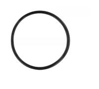 Manillefu Joint torique de rechange pour Pentair R172009, pour alimentateurs automatiques 300/320/300-19/300-29, joint en caoutchouc 2/4/6