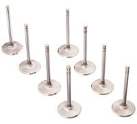 Manley 106508 Lot de 8 valves de performance en acier inoxydable