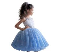 MaNMaNing Robe Tutu dégradé Bleu pour Fille déguisement Carnaval fête Danse Ballet Tulle Bouffant Robe sans Manche Costume Enfant fête Danse créative Loisir Princesse étoiles