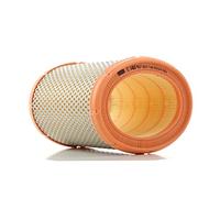 MANN-FILTER C 1460 Filtre à air - pour Véhicule de tourisme + utilitaires