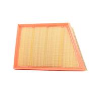 MANN-FILTER Filtre à air 4011558025472 LAND ROVER RANGE ROVER