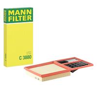 MANN-FILTER C 3880 Filtre à air - pour Véhicule de tourisme + utilitaires
