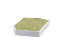 MANN-FILTER FP 38 004/1 Filtre à air de cabine - FreciousPlus Filtre à Pollen Bio-fonctionnel - Pour les véhicules à conduite à droite pour Véhicule de tourisme + utilitaires