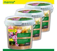 Manna 3x1kg Côte Blumenlangzeitdünger Npk Plante en Pot Plate-Bande
